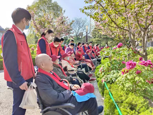 花开时节~爱在洛城